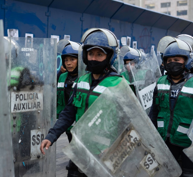 Servicios en asesoria de derecho policivo